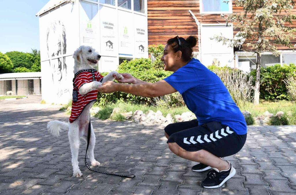 12 Bi̇n 60 Can Sıcak Bi̇r Yuvaya Kavuştu