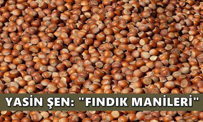 Fındık Manileri