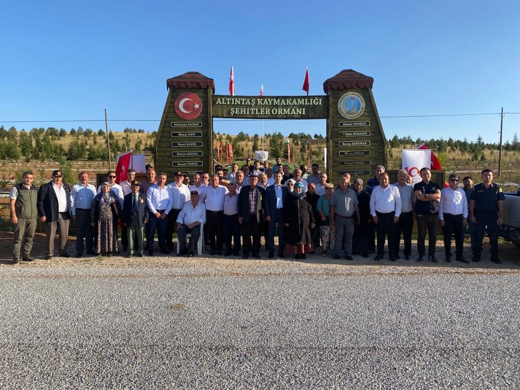 Altıntaşa Şehi̇tler Ormanı