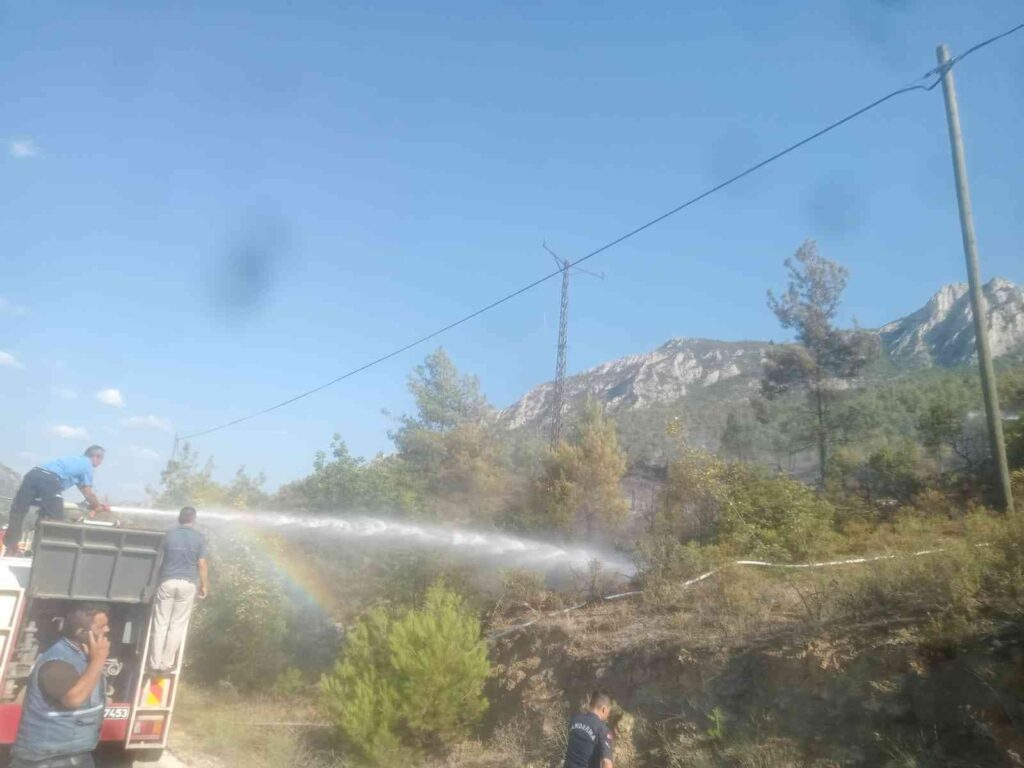 Bi̇leci̇kte 6 Dönüm Ormanlık Alan Kül Oldu