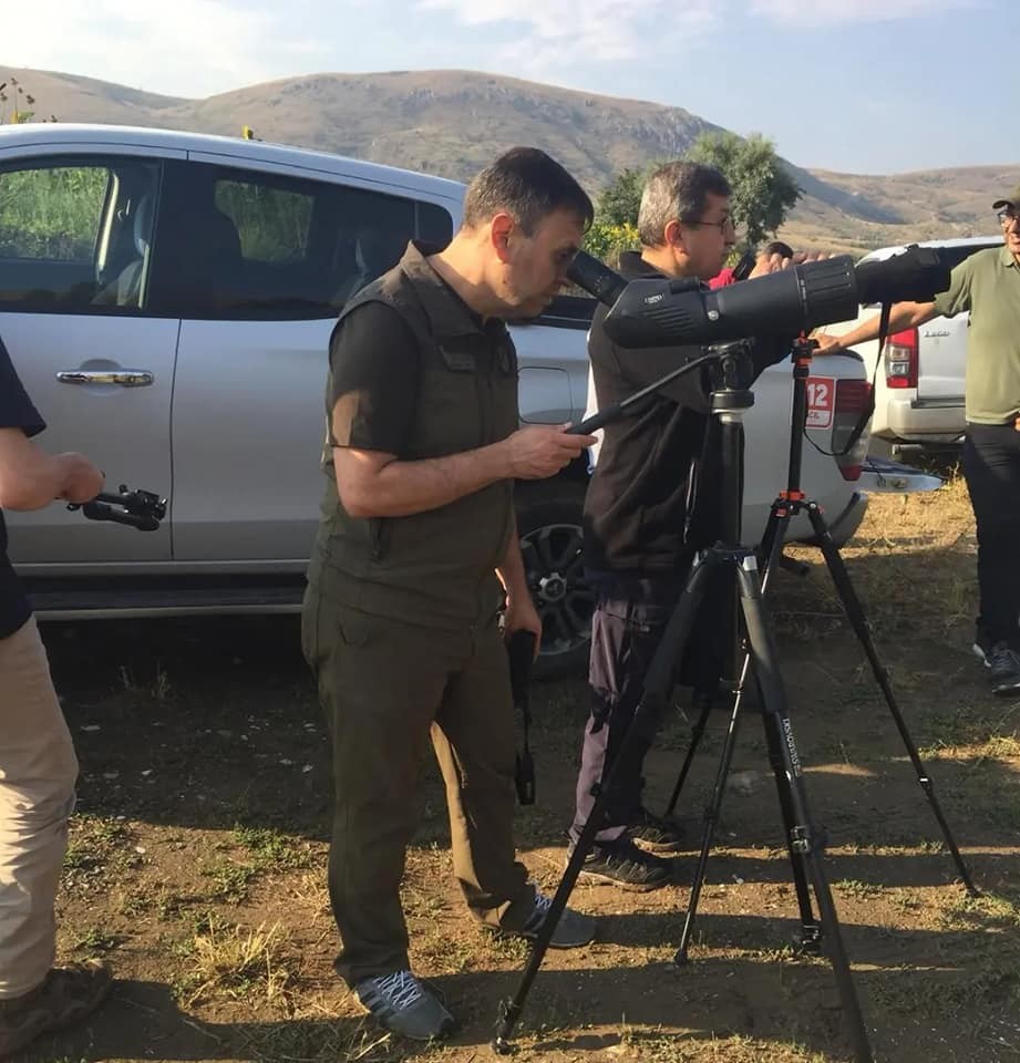 Doğaya Salınan Anadolu Yaban Koyunları İzlendi̇