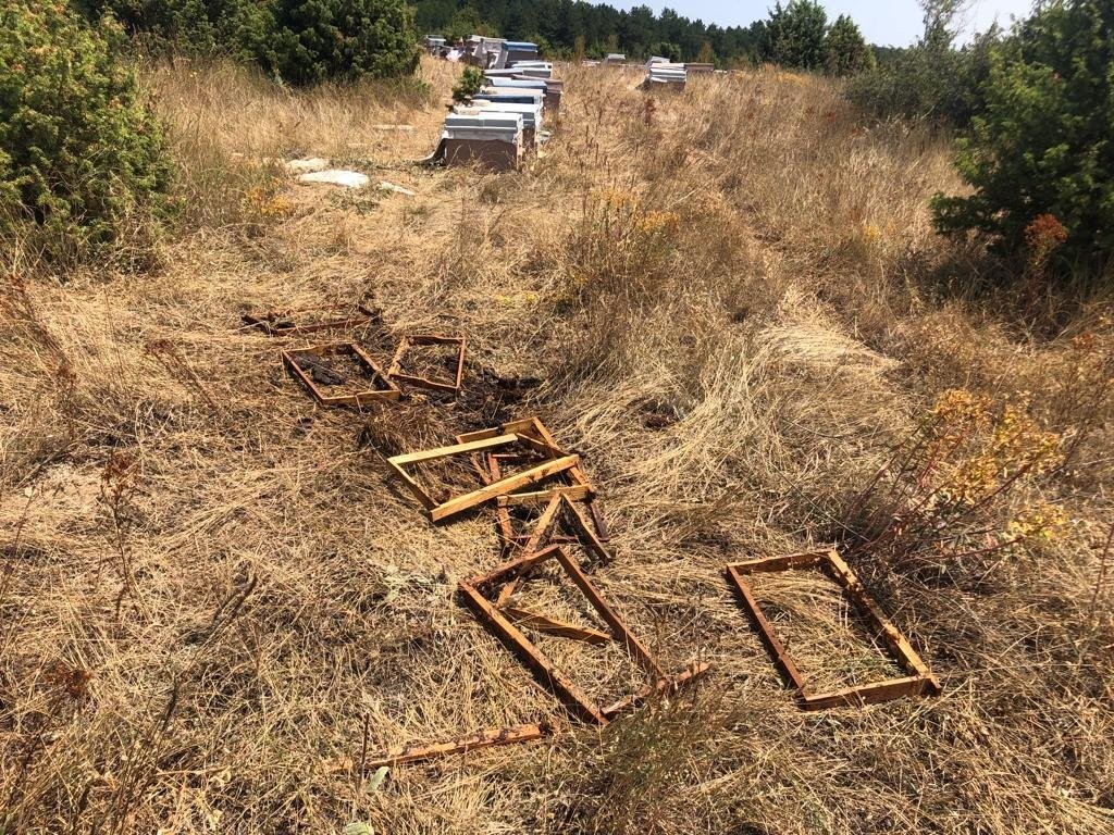 Emette Ayılar 13 Arı Kovanını Parçaladı
