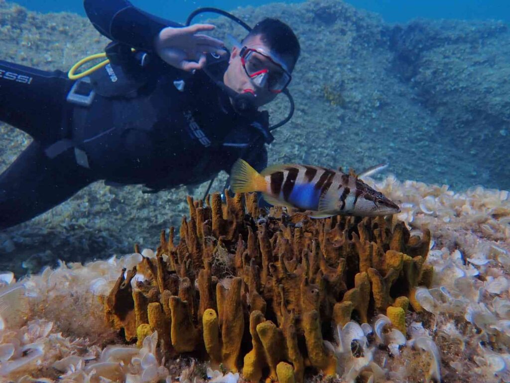 Eski̇şehi̇rli̇ Dalgıçlardan Mükemmel Deni̇z Altı Manzaraları