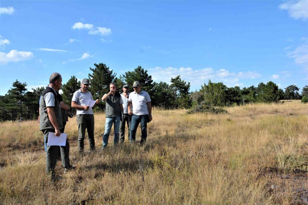 Gedi̇z Muratdağına Bal Ormanı