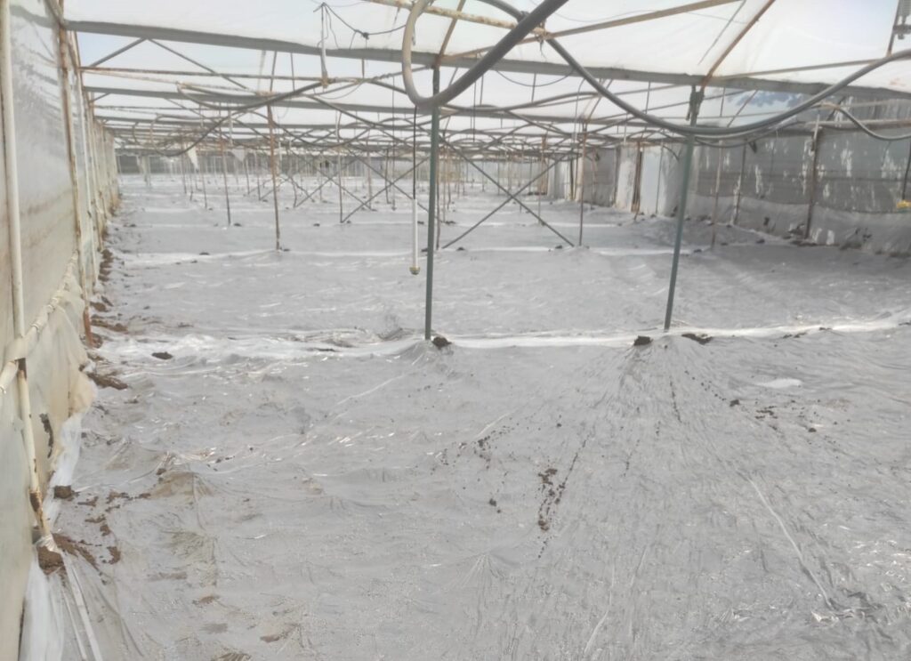 Mi̇halgazi̇ Toprakları Solari̇zasyonla Korunuyor