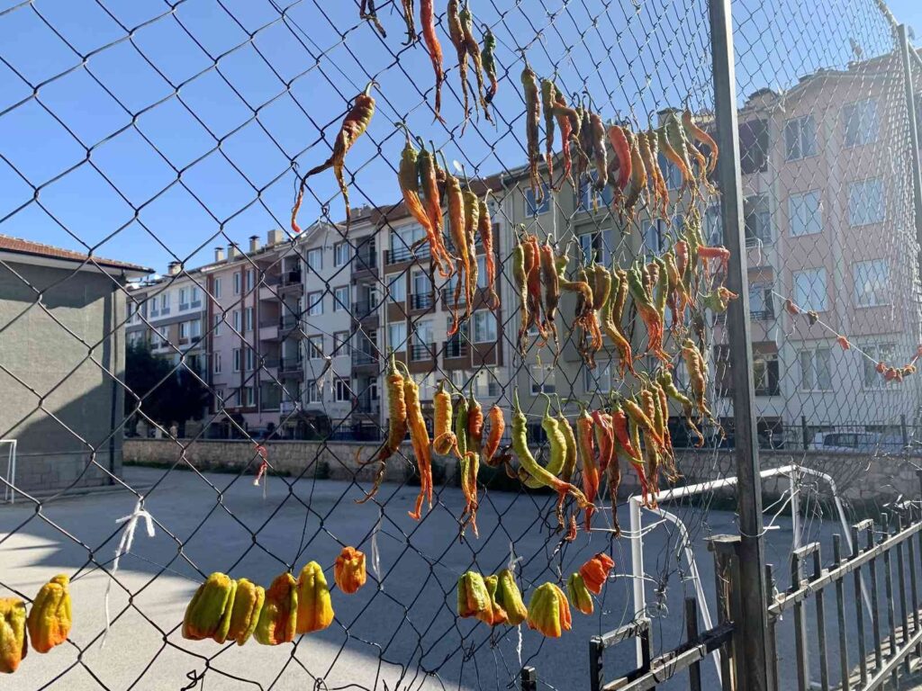 Okul Demi̇rleri̇nde Sebze Kurutuyorlar