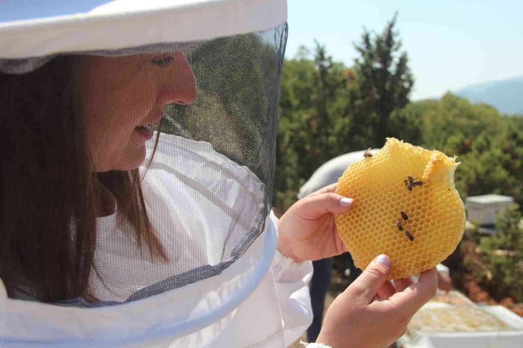 (Özel) İlk Hasat Heyecanı