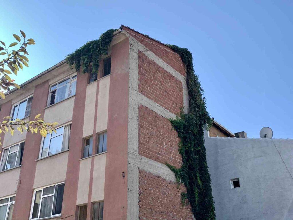 Sarmaşıklar 4 Katlı Bi̇nanın Çatısına Kadar Uzandı
