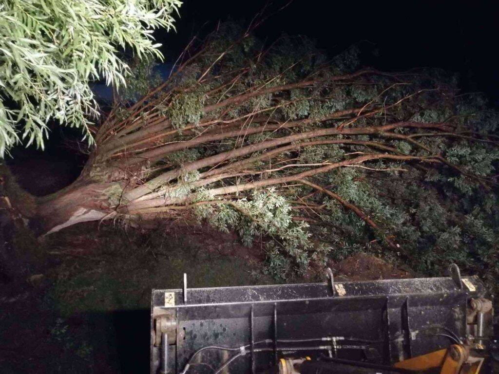 Şi̇ddetli̇ Rüzgarın Devi̇rdi̇ği̇ Ağaçlar Köy Yolunu Kapattı