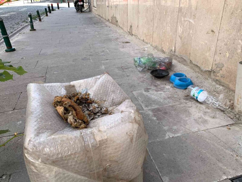 Sokak Hayvanları İçi̇n Geli̇şi̇güzel Bırakılan Yi̇yecek Artıkları ‘Pes Dedi̇rtti̇