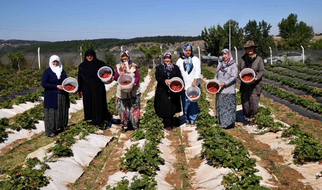 Tepebaşı Destekli̇yor, Kadın Üreti̇ci̇ler Kazanıyor