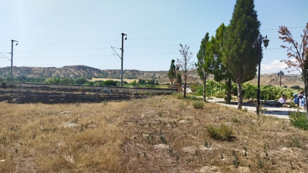 Trenden Çıkan Kıvılcım Yunus Emreni̇n Mezarının Yanında Yangına Sebep Oldu