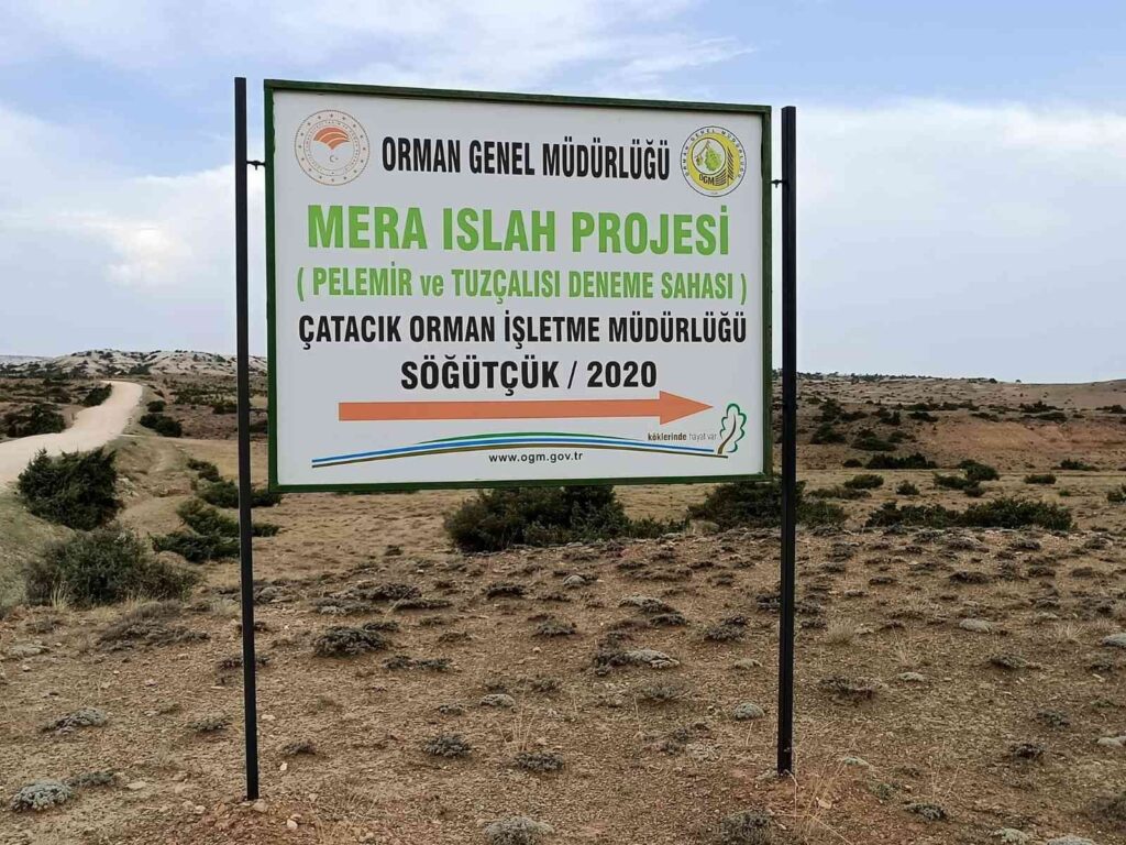 Tuz Çalısı Ve Bozkır Otu Deneme Sahası Projesi̇ Yeri̇nde İncelendi̇