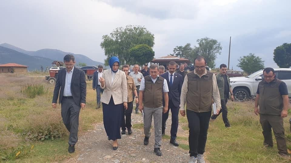 Vali̇ Yi̇ği̇tbaşı, Eber Gölünde Yürütülen Çalışmaları İnceldi̇