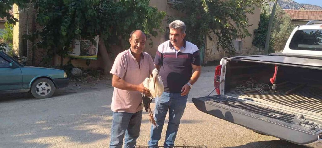 Yol Kenarında Yaralı Leylek Bulundu