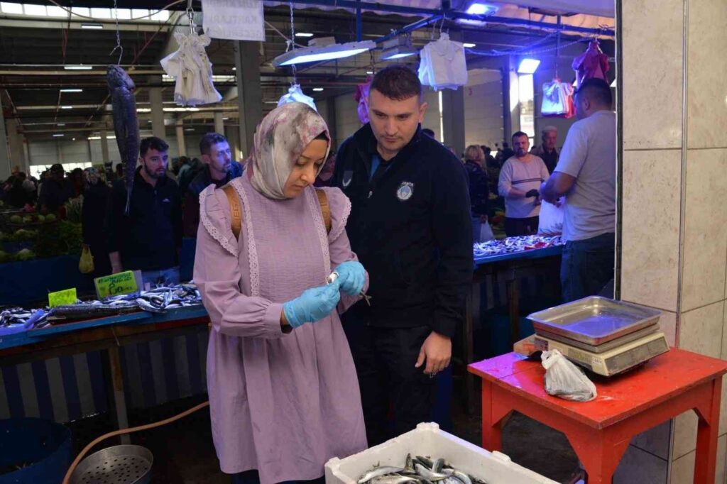 Balık Tezgahlarında Deneti̇m