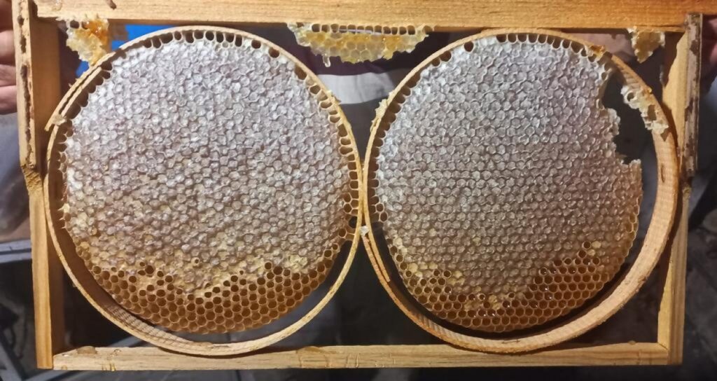 Emette Arıcılığı Geli̇şti̇rme Projesi̇nde 4 Ayda 7 Ton Bal Elde Edi̇ldi̇