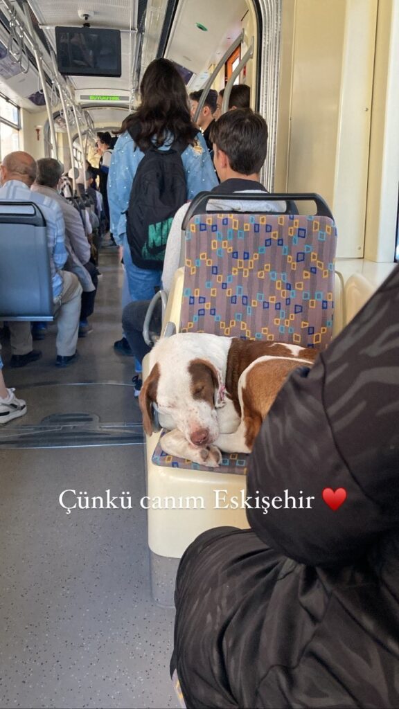 Ki̇mse Keyfi̇ni̇ Bozmadı