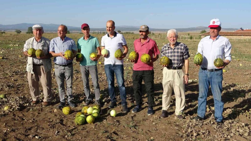 Kütahyanın Meşhur Terzi̇ler Kavunu Tezgahlardaki̇ Yeri̇ni̇ Aldı
