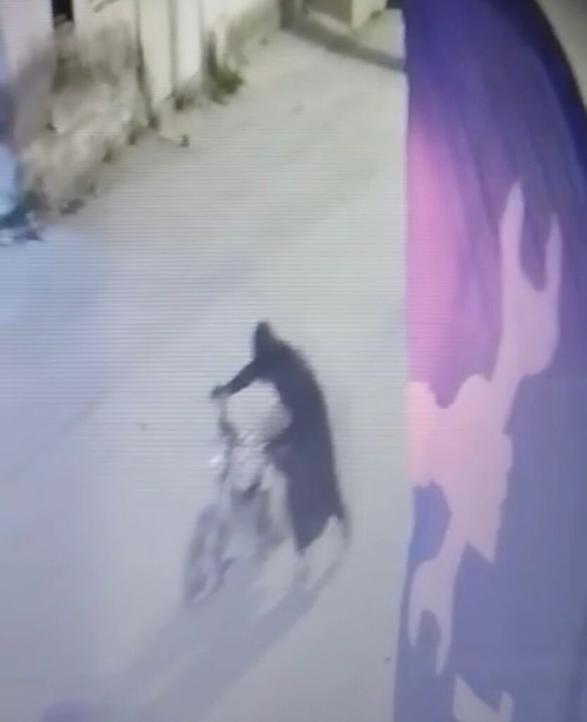 Motosi̇klet Hırsızı Çarşaf Gi̇yi̇nce Daha Hızlı Yakalandı