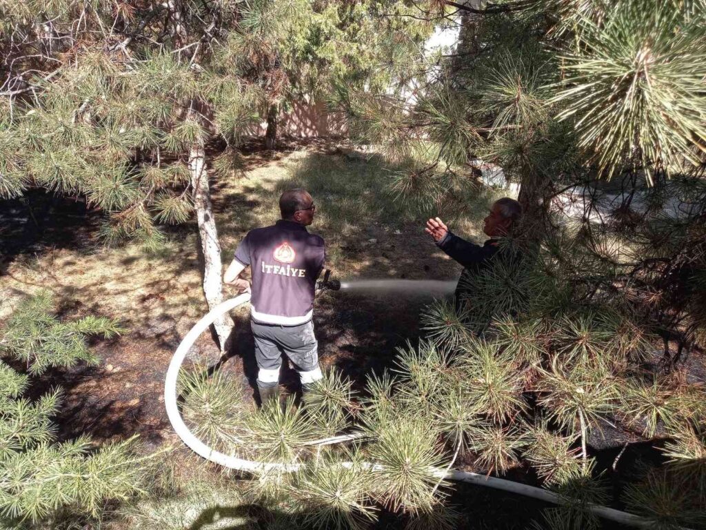 Okul Bahçesi̇ndeki̇ Ağaçlık Alanda Çıkan Yangın Korkuttu