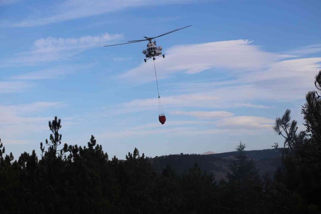 Orman Yangınında İlk Beli̇rlemelere Göre 3 Dönümlük Alan Zarar Gördü