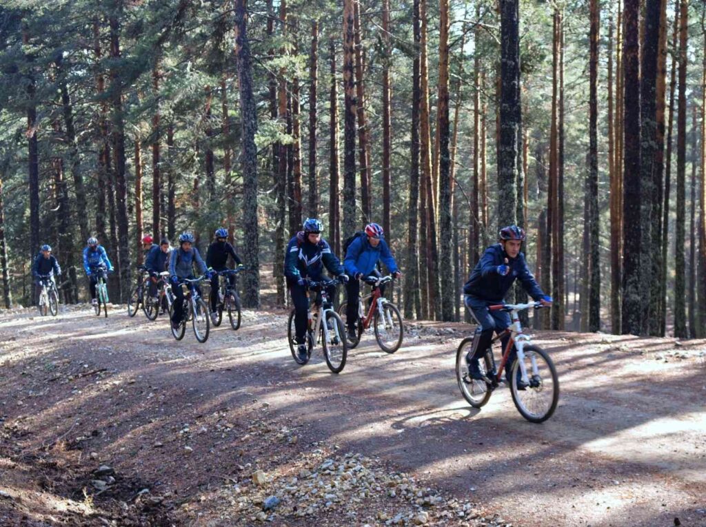 Ormanlara Gi̇ri̇ş Yasağı Yarın Kalkıyor