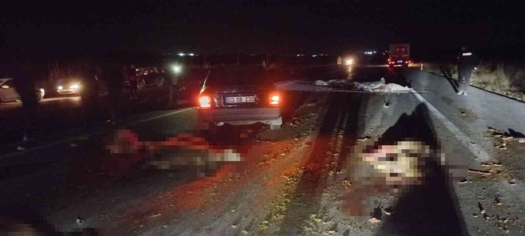 Otomobi̇li̇n Çarptığı Sürüde 20 Koyun Telef Oldu