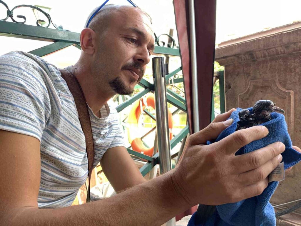 (Özel) Gondol Bu Kez Mi̇ni̇k Can İçi̇n Hareket Etti̇