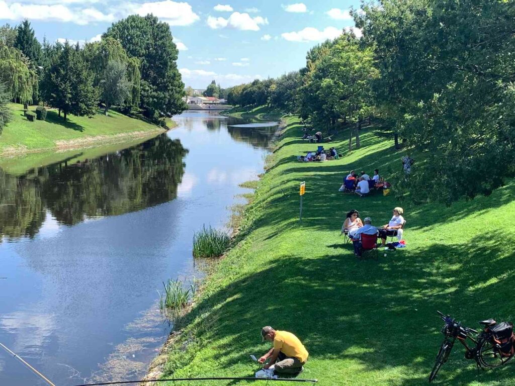 Sandalyesi̇ni̇ Alan Kentparka Koştu