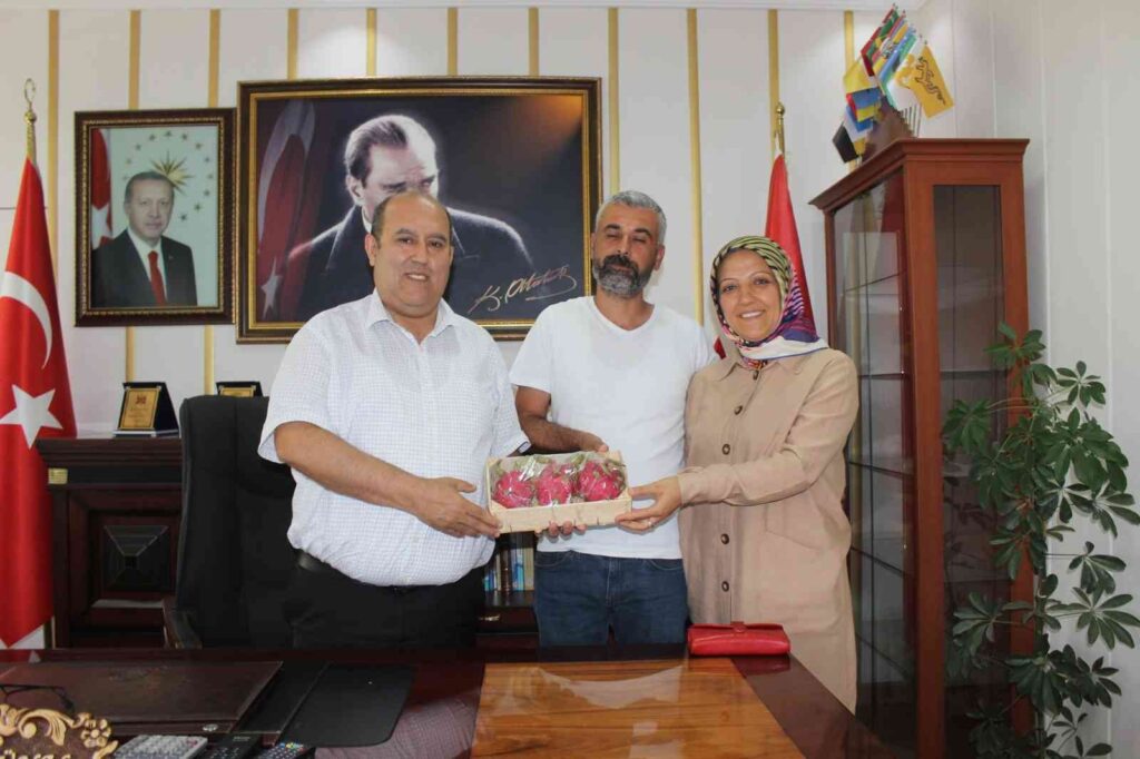 Tropi̇kal Ejder Meyvesi̇ Üreti̇ci̇si̇ Çi̇ft İlk Hasattan Memnun