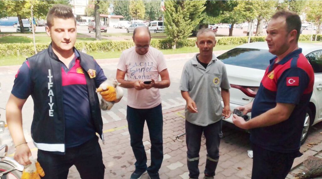 Yavru Kedi̇ Uzun Uğraşlar Sonucu Araç Altından Çıkarıldı