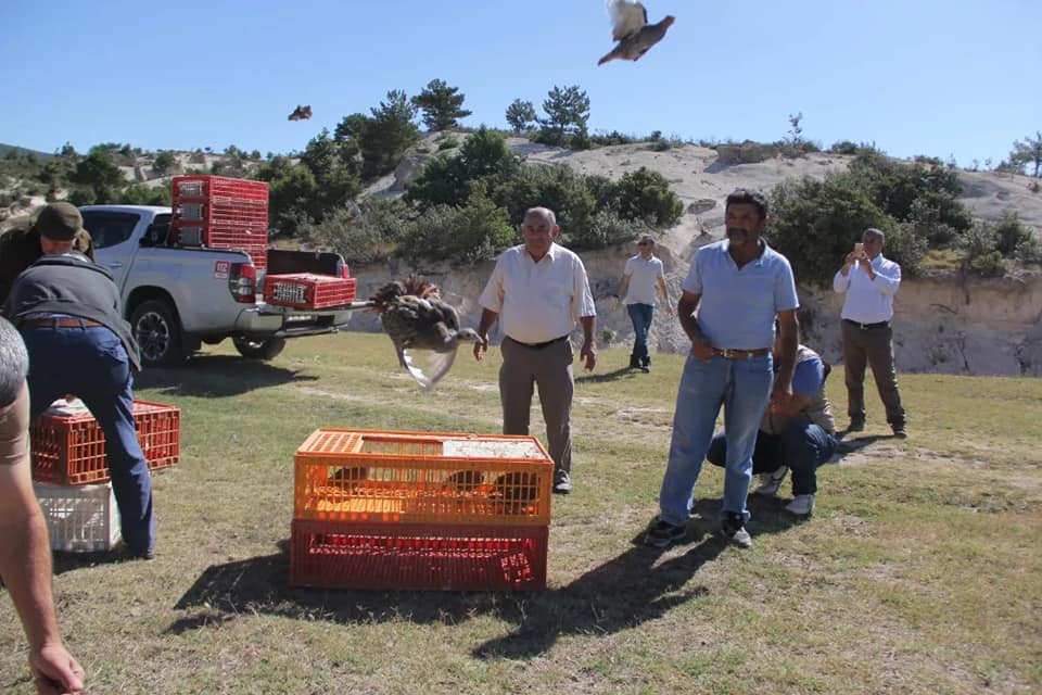 Yüzlerce Çi̇l Kekli̇k Doğaya Salındı