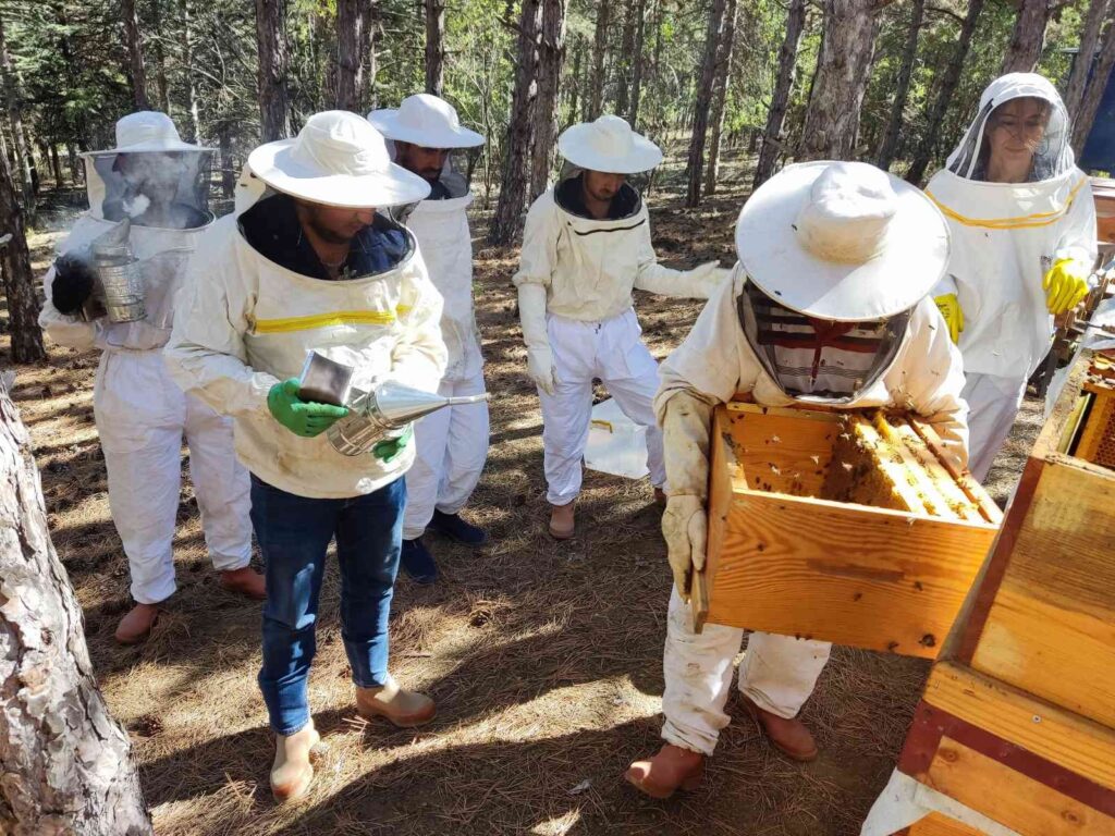 Zi̇raat Öğrenci̇leri̇ni̇n Uygulamalı Eği̇ti̇m Aldığı Kovanlarda Veri̇m Bu Yıl 300 Ki̇loyu Aşacak