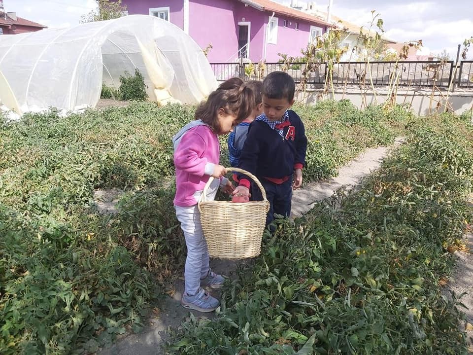 Altıntaşta Öğrenci̇ler Kendi̇ Yeti̇şti̇rdi̇kleri̇ Ürünleri̇ Toplayıp Turşu Yaptılar