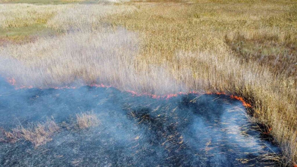 Eber Gölünde Yangın