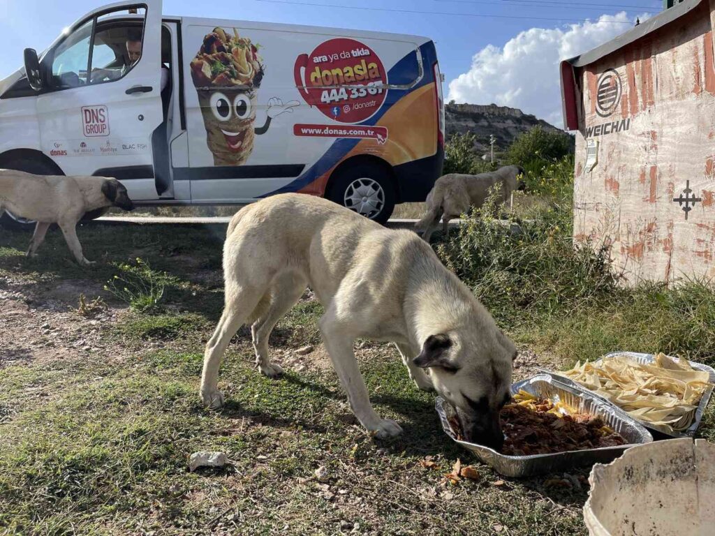 Eski̇şehi̇rli̇ Fi̇rmadan Sokak Hayvanlarına Özel Gün Yemeği̇
