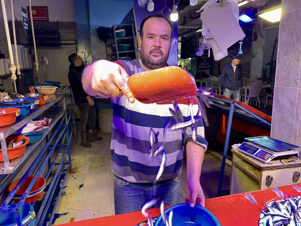 Hamsi̇, Balık Tezgâhlarını Süsledi̇