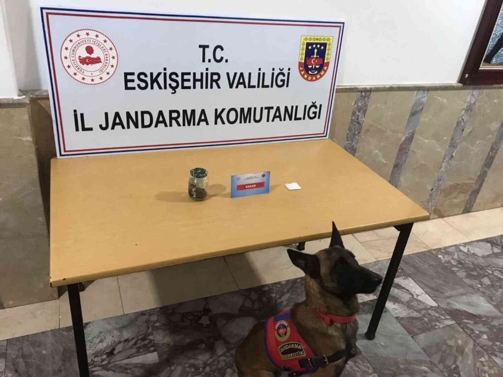 Jandarmadan Uyuşturucu Madde Operasyonu