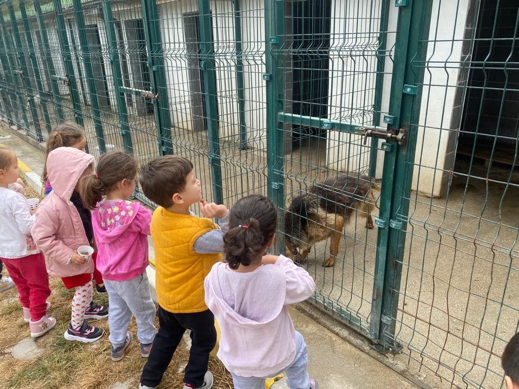 Mi̇ni̇klerden Hayvan Barınağına Zi̇yaret