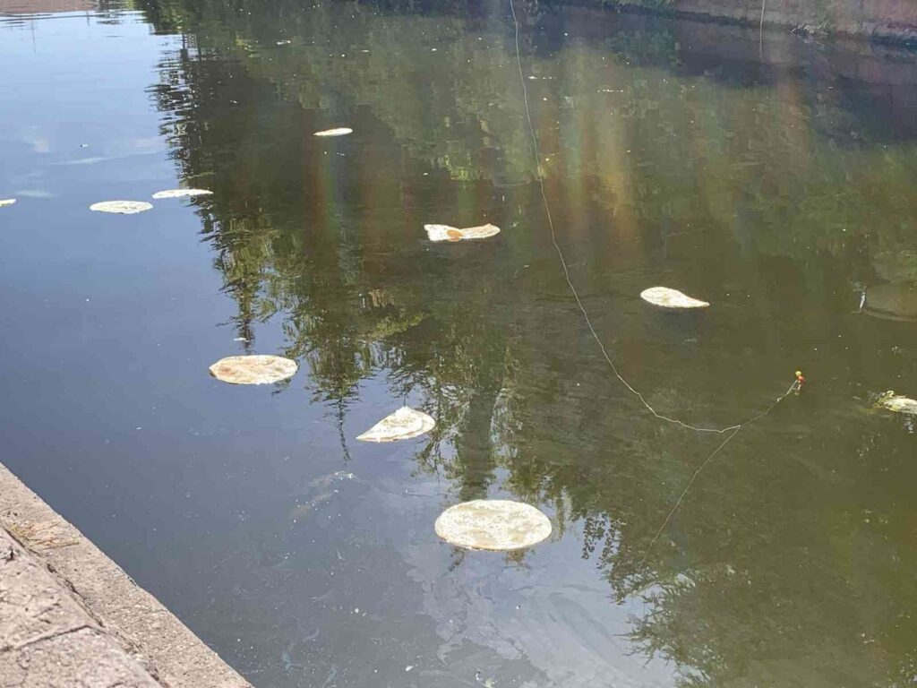 Porsuka Atılan Ekmekler ‘Pes Dedi̇rtti̇