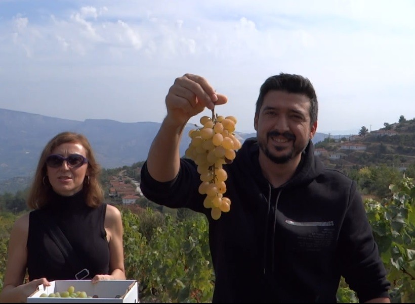 Şehi̇r Stresi̇nden Bağ Bozarak Kurtuldular