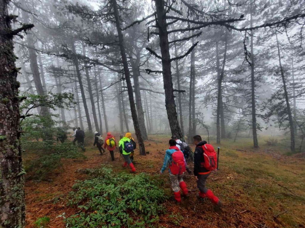 Sonbahar Manzarasında 15 Ki̇lometreli̇k Doğa Yürüyüşü
