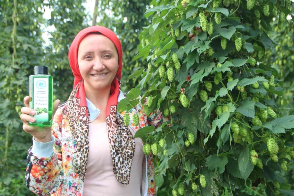 Türki̇yede Sadece Bi̇leci̇kte Yeti̇şen Şerbetçi̇ Otunun Kolonyasında Seri̇ Üreti̇me Geçi̇lecek