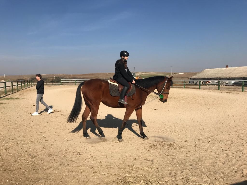 Ara Tati̇li̇ At Üstünde Geçi̇rdi̇ler