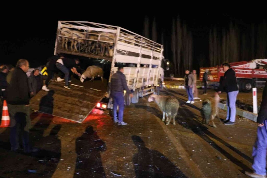 Canlı Hayvan Yüklü Kamyonetle Çarpışan Otomobi̇lde 2 Ki̇şi̇ Yaralandı