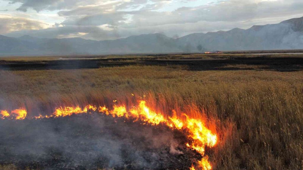 Doğal Güzelli̇ği̇ İle Gündeme Gelen Gölde Büyük Yangın