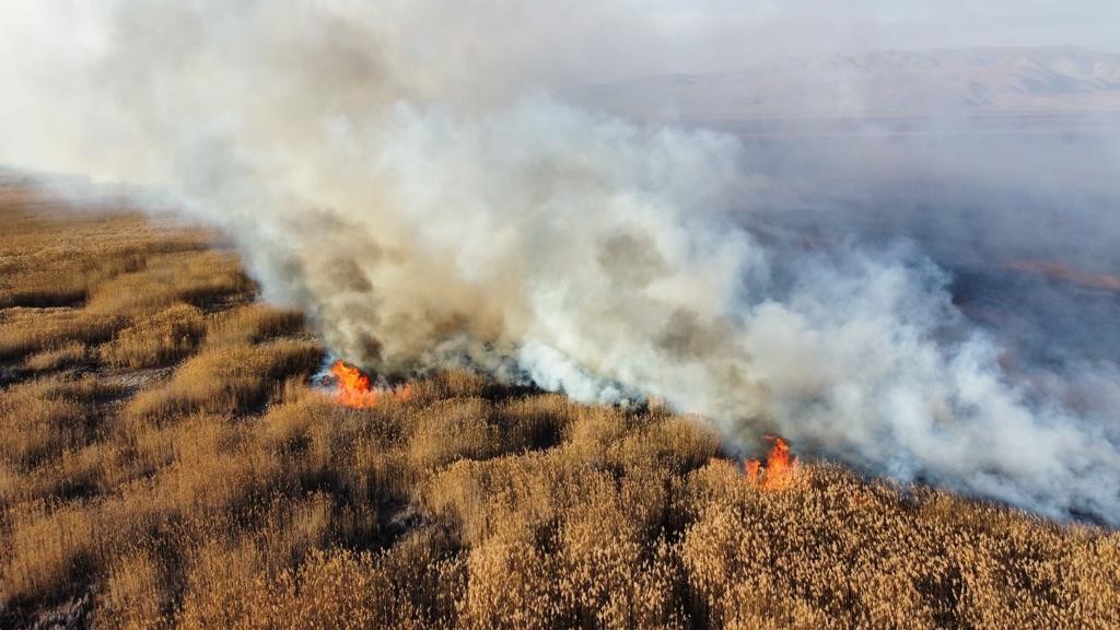 Eber Gölündeki̇ Sazlık Alanda Yangın