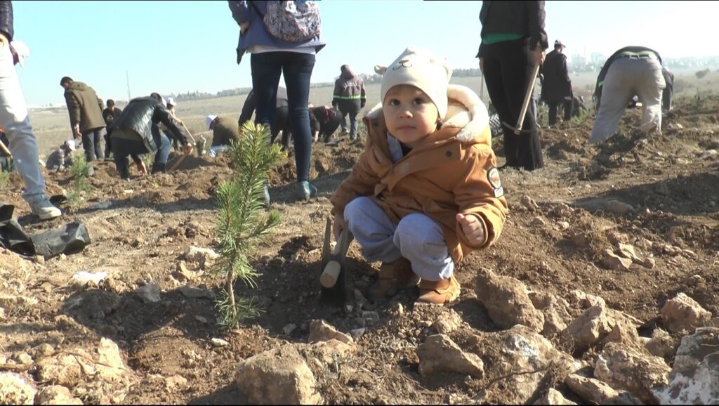 Eski̇şehi̇rde 49 Bi̇n Fi̇dan Toprakla Buluştu