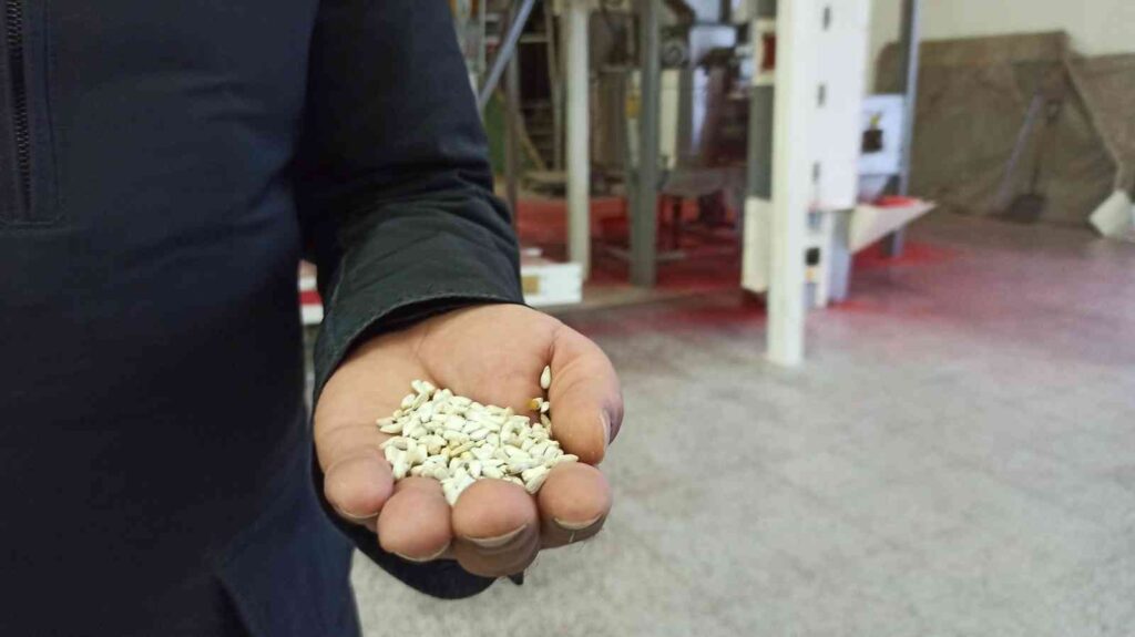 Eski̇şehi̇rde Tohum Saklama Ve Gem Bankası